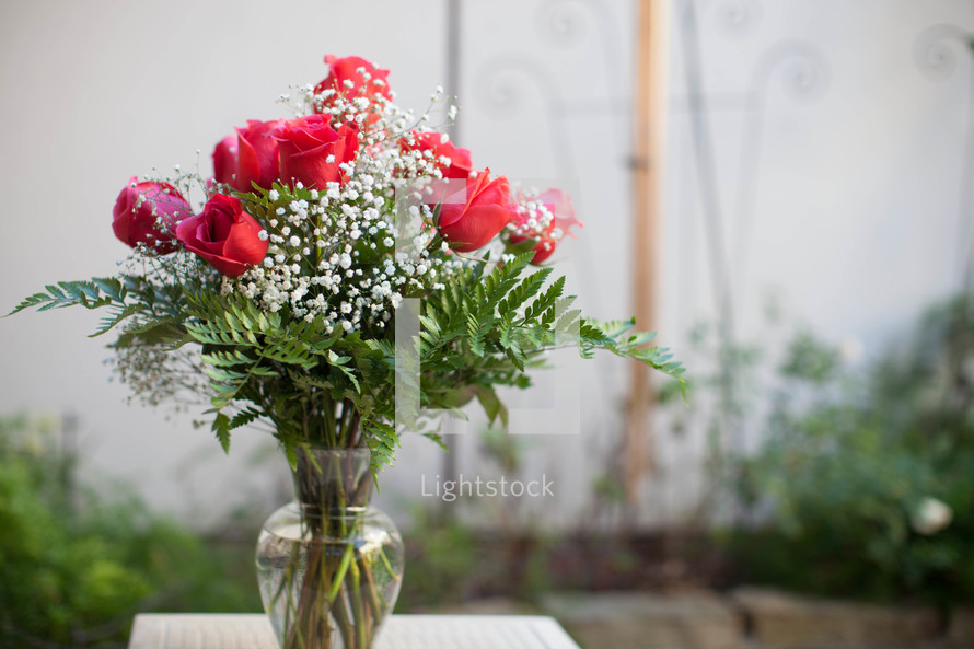 vase of roses
