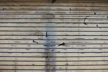 white texture - side of wood building - grunge