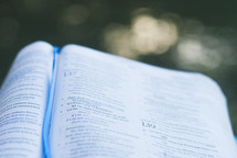 pages of a Bible outdoors 