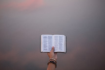 a hand holding a pocket Bible