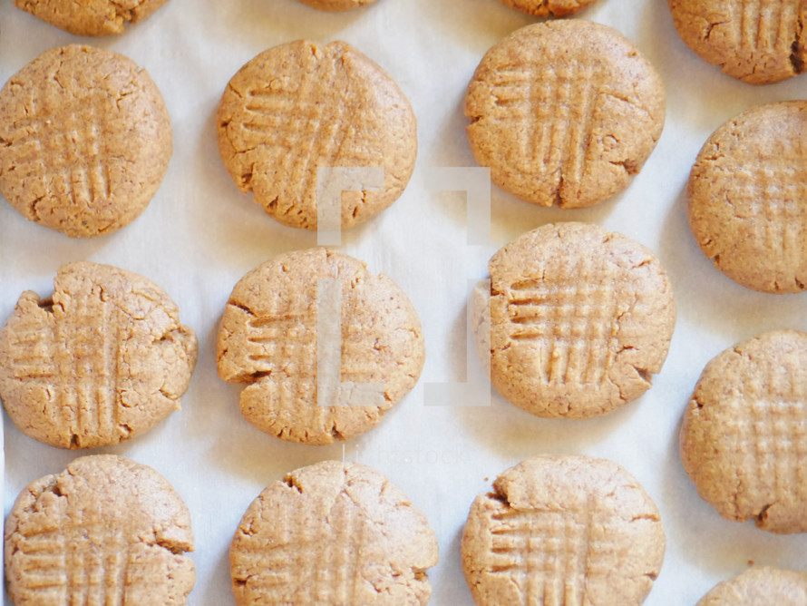 rows of peanut butter cookies 