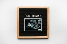 Pro-Human 