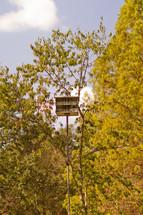 Birdhouse in a tree