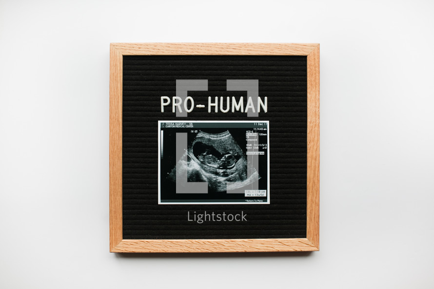 Pro-Human 