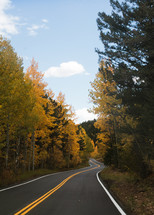 a highway lined by fall trees 
