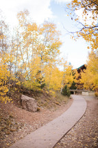 a concrete path through a fall forest 