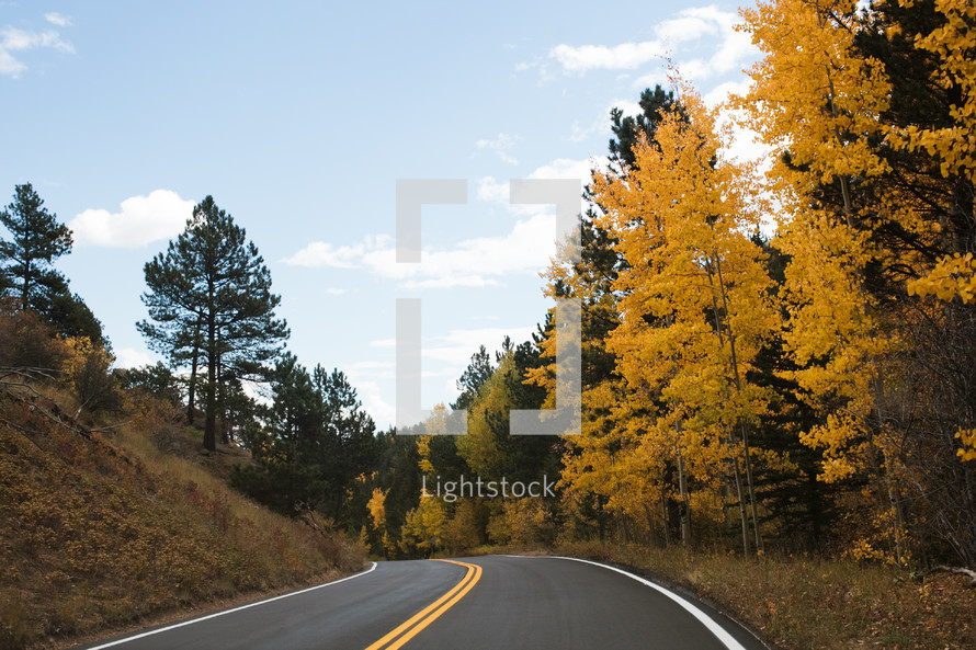 a highway lined by fall trees 