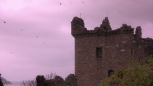 birds circling a castle 