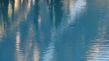 Reflections of trees on a lake,