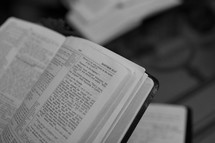 Open Bible in the book of Matthew