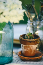 cactus in a pot and silverware in mason jar 