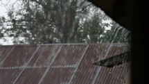 rain falling on a roof in Kenya 