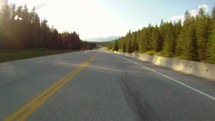 Timelapse of driving down a tree-lined mountain highway.