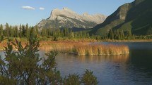 Water movement in a lake with marsh grass, surrounded by trees, at the foot of a mountain.