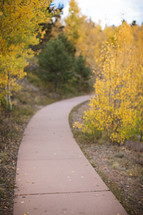 a concrete path through a forest in fall 