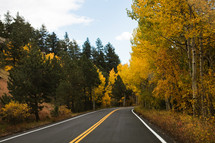 a mountain highway lined with fall trees 