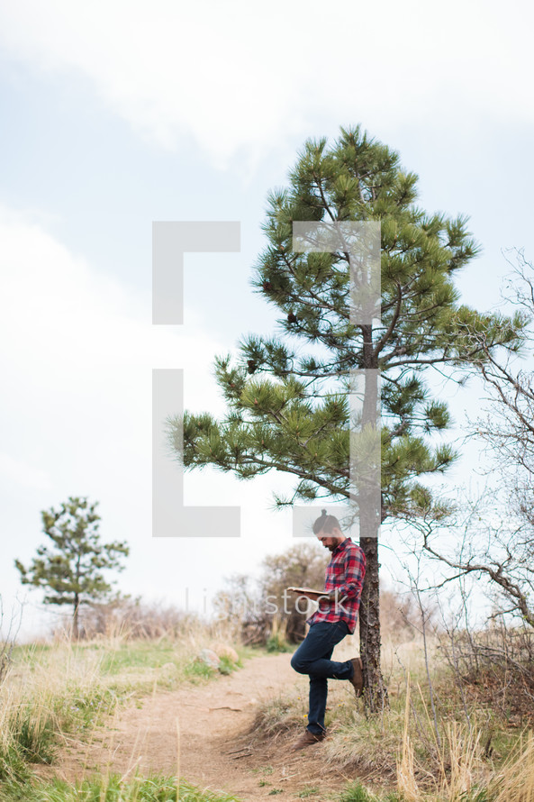 man in a plaid shirt leaning against a pine tree reading a Bible 