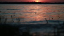 lake shore at sunset 