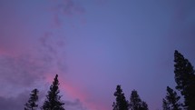 Night sky over the treetops.