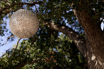 Jeweled globe hanging in a tree