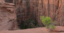Zion National Park cliff 