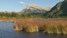 Water movement on a lake with marsh grass at the foot of mountains.