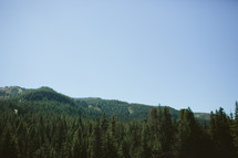 Tree-covered mountain range.