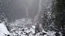 Snowfall at Yosemite.