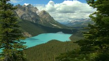 breeze blowing trees over Peyto Lake 