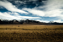 pasture in front of a snow capped mountain 