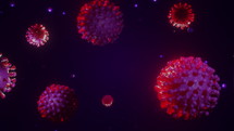 Looping 3d animation of a coronavirus (Covid-19) featuring a dark background and glowing virus particles.