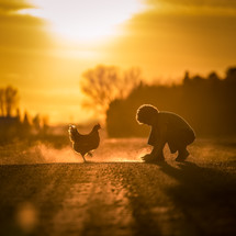a boy and a chicken at sunset 