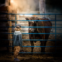 a boy talking to his cow 