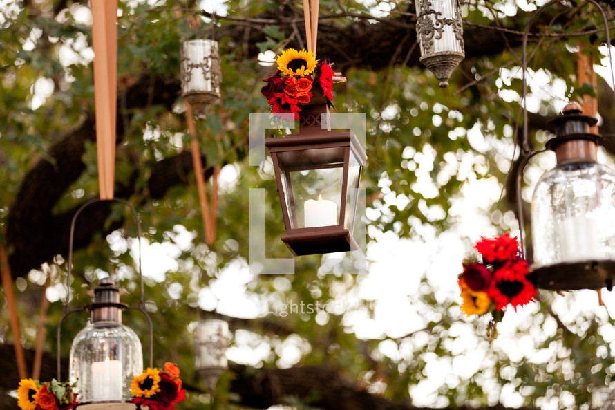 Candle lanterns hanging in a tree
