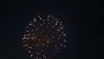 Fireworks bursting in the night sky. 