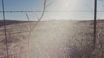 Sun shining on a prairie seen through a barbed wire fence.