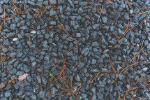 dried vegetation in gravel 