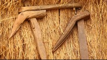 primitive harvest tools 