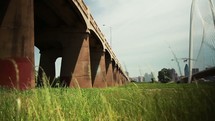 grass between bridges 