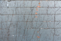 vine marks on a gray brick wall 