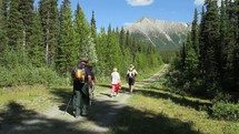 Group of hikers on a dirt trail through the trees walking towards a mountain range.