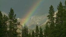 Rainbow over the mountains surrounded by trees.