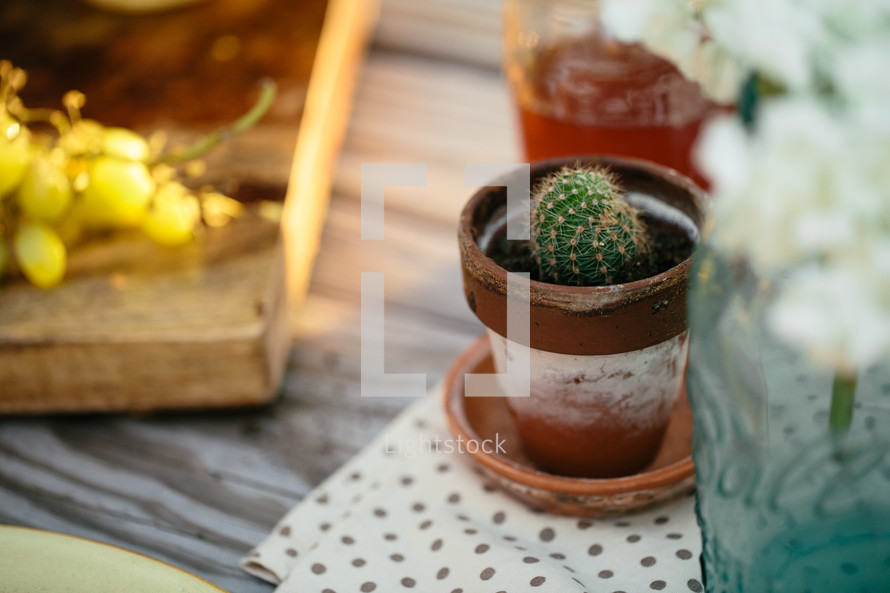 grapes, cactus, potted plant, table, glass, mason jar, tea