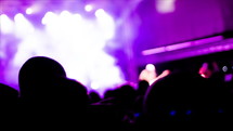 audience at a concert 