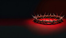 Crown of Thorns on Red Background