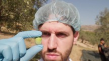 Agronomist analyzing closely an olive for oil production