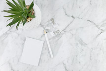 houseplant, clips, and paper on marble countertop 