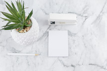 houseplant, stapler, clips, and paper on marble countertop 