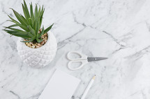 houseplant, scissors, pencil, and notepad on marble 
