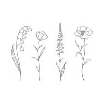 Wildflowers Vector Illustrations